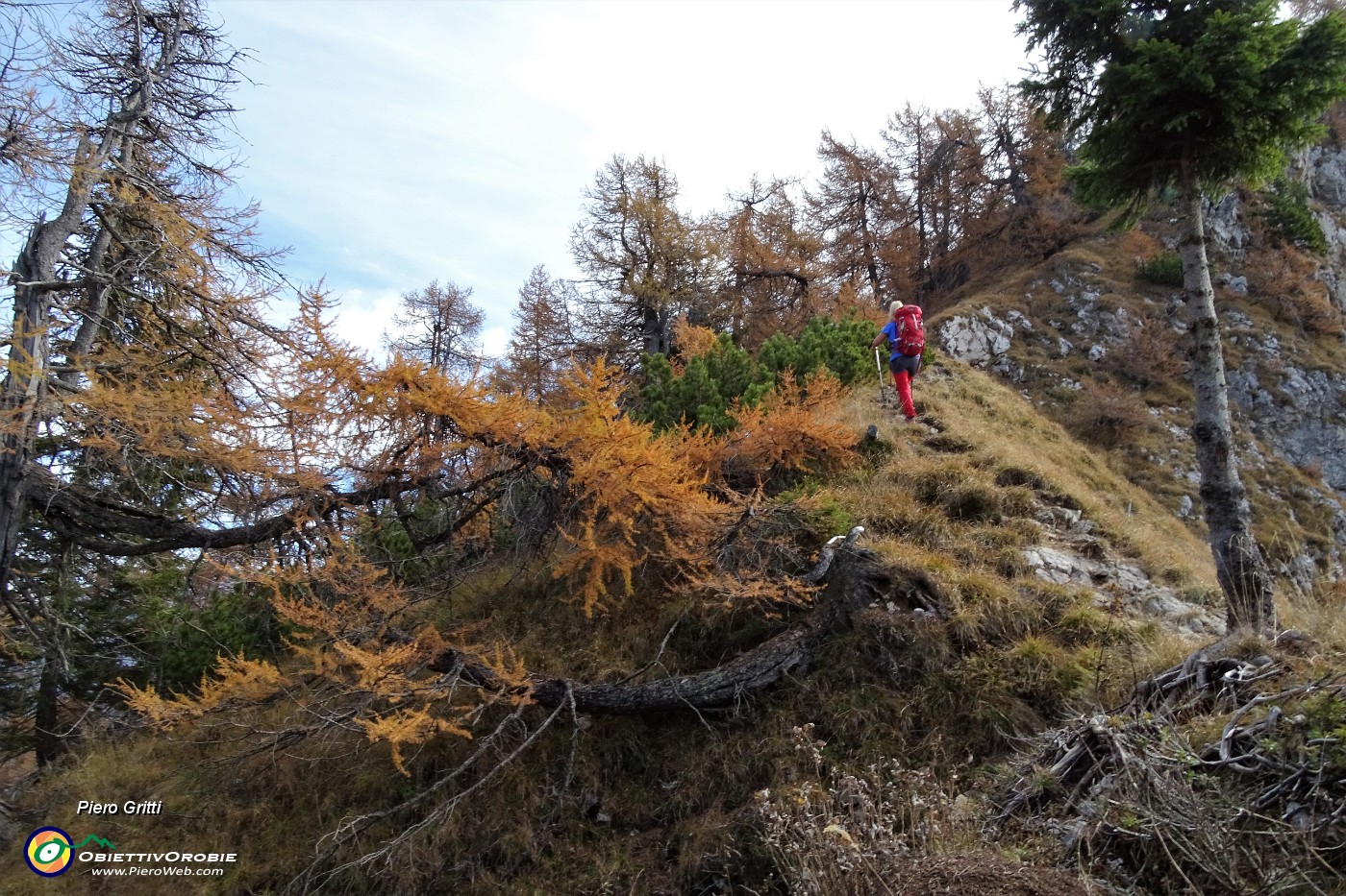55 Saliamo per ripida traccia al Pizzo Badile.JPG